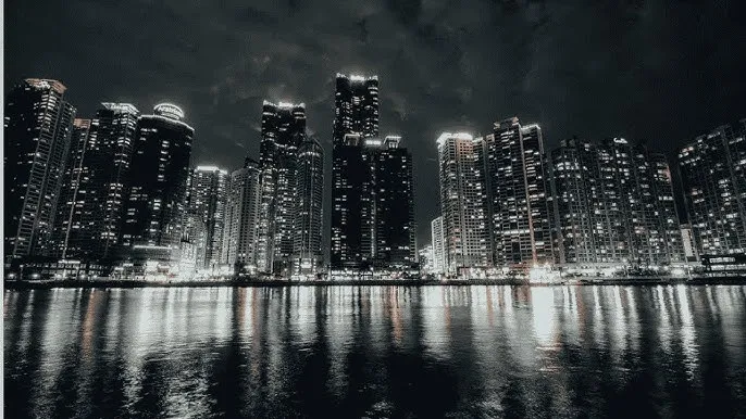 老司机带带我免费高清 - 城市之光：霓虹背后的人间烟火